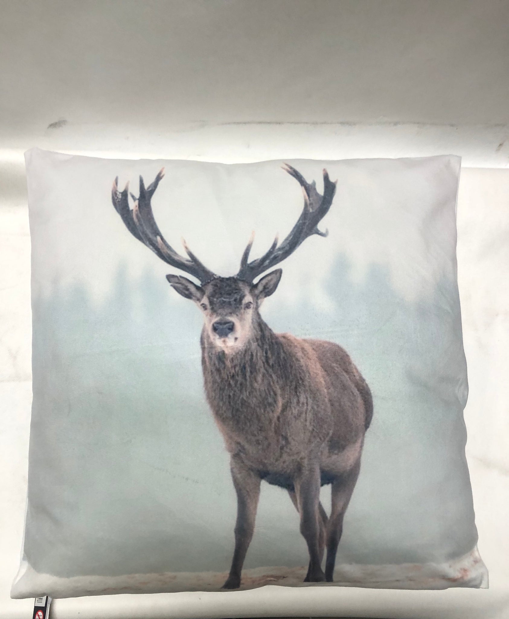 Jolipa- kussen assortiment dieren 45x45cm (5soorten)