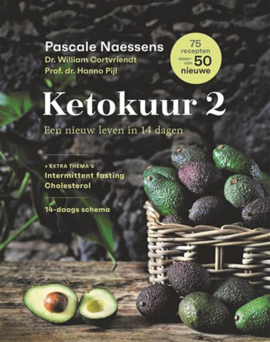 Pascale Naessens - boek Ketokuur 2
