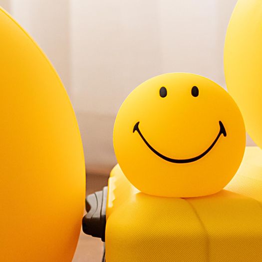 Mr Maria - Smiley - Bundle of light 15cm